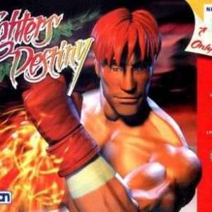 FIGHTERS DESTINY